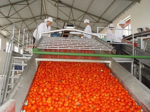 官宣 內(nèi)蒙古日?qǐng)?bào) 頭版頭條關(guān)注 天賦河套