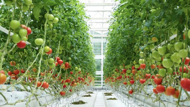 10家!浙江首批&ldquo;未來農(nóng)場(chǎng)&rdquo;名單公布,有你去過的嗎?